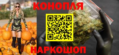 гидра Лесосибирск