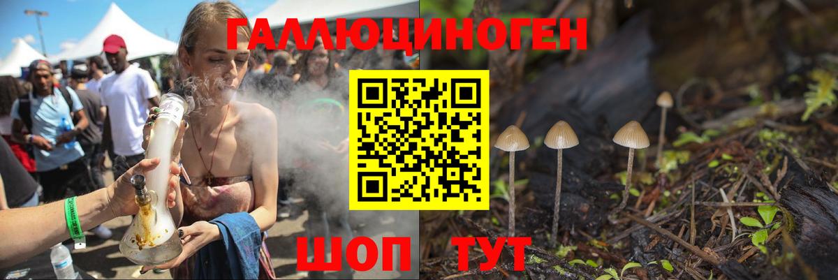 Ульяновск  где найти наркотики  Галлюциногенные грибы Magic Shrooms  Вход с VPN  Псилоцибиновые грибы MAGIC MUSHROOMS 